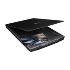 Epson Printers and Scanners Epson Perfection V39 Photo and document scanner