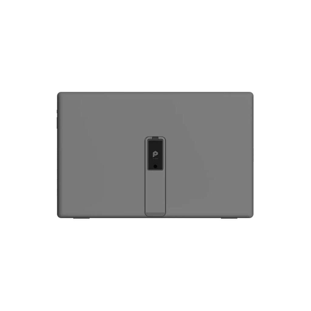 MSI Monitors MSI PRO MP161 E2 15.6-inch Full HD Portable Monitor with USB-C and Built-in Speakers